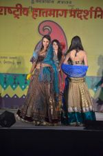 at Handloom fashion show by NIFD in Bandra, Mumbai on 27th Feb 2012 (25).JPG